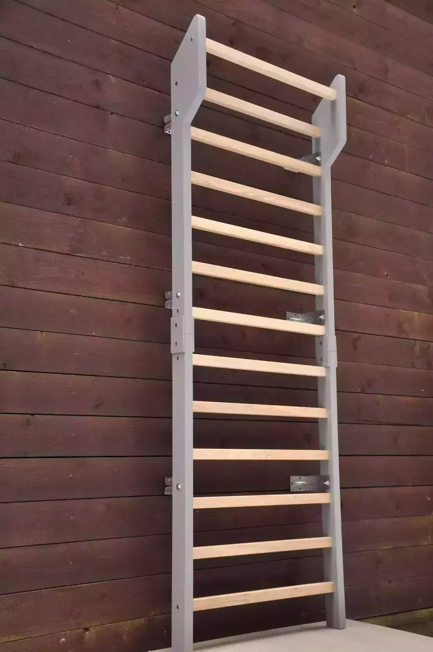 Swedish ladder gym for scoliosis physical therapy by BarinToys brand.